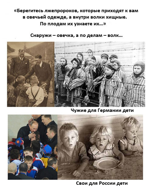 По плодам их узнаете их картинки
