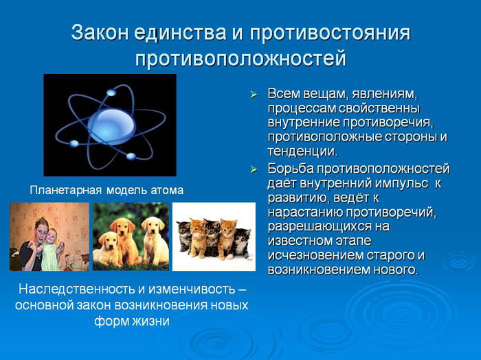 Единство и борьба противоположностей