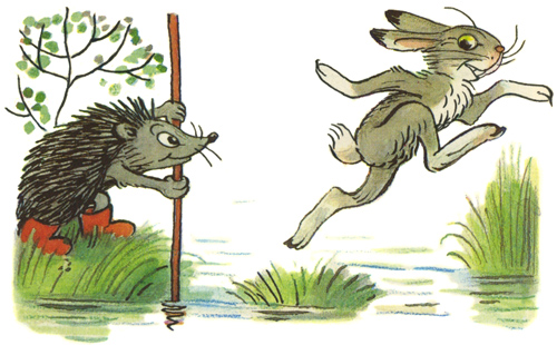 Кочки на болоте Кочки на болоте